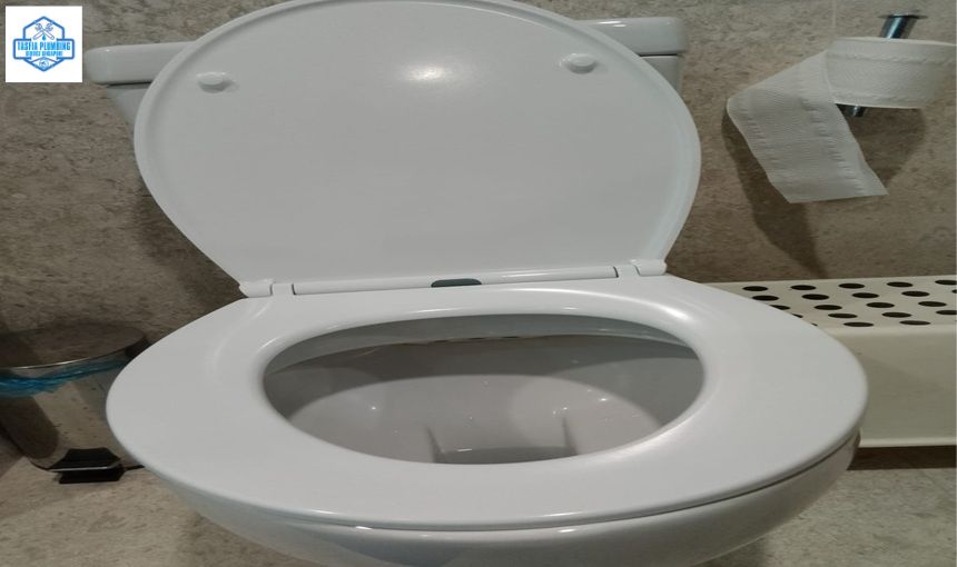 Admin/Blog/Details/toilet bluw.jpg